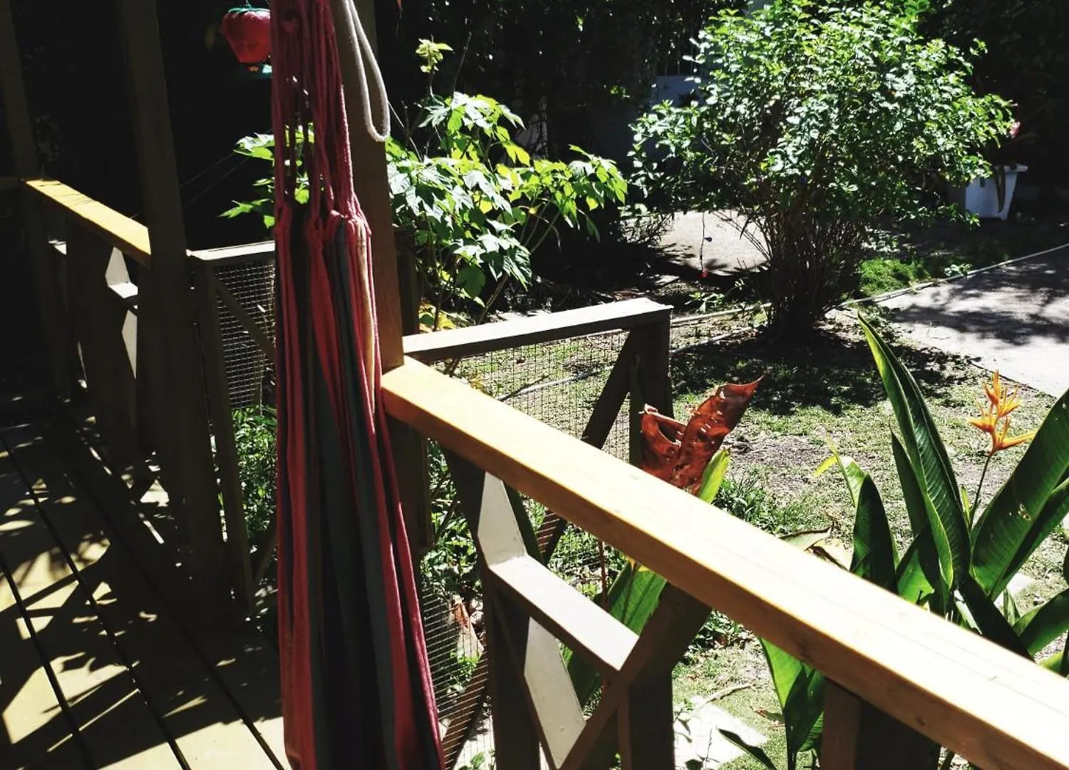 Shambhala Homestays Cottage And Studio Christ Church