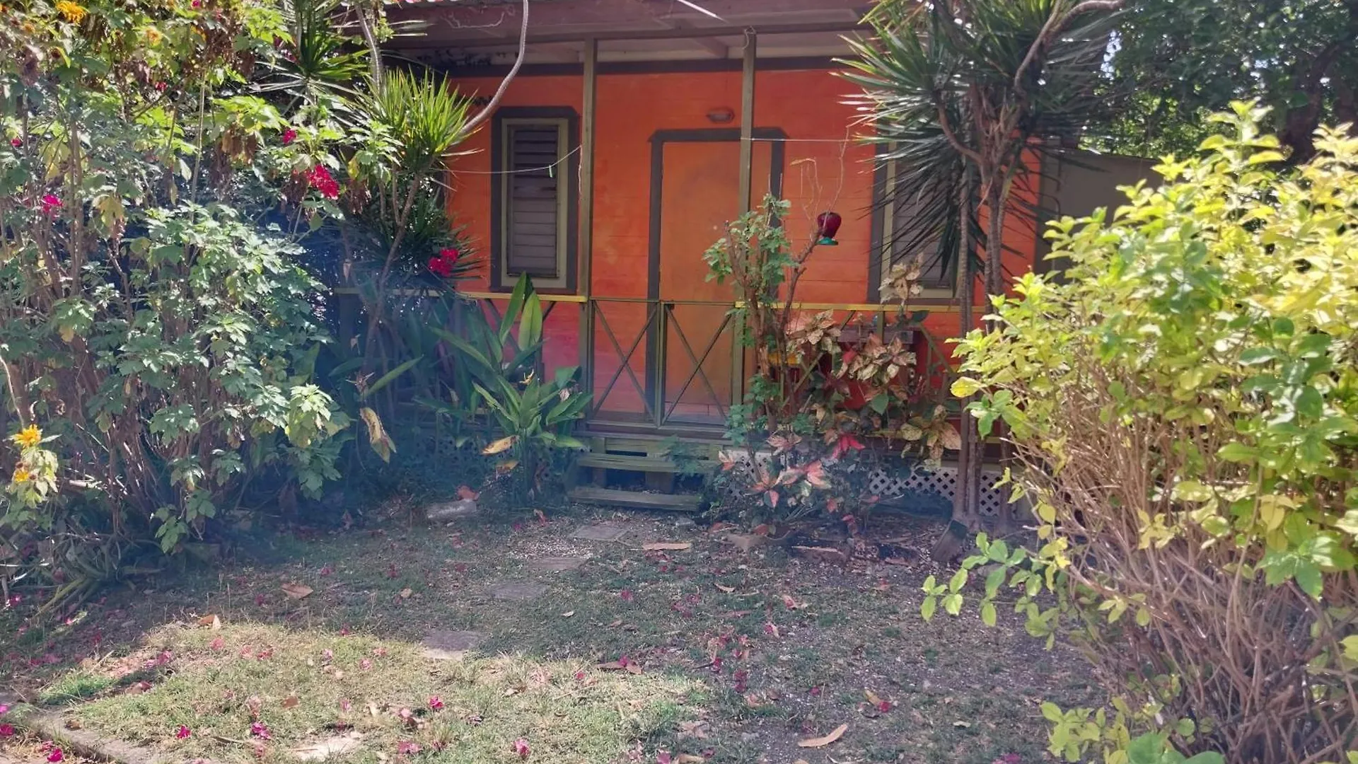 Apartment Shambhala Homestays Cottage And Studio Christ Church